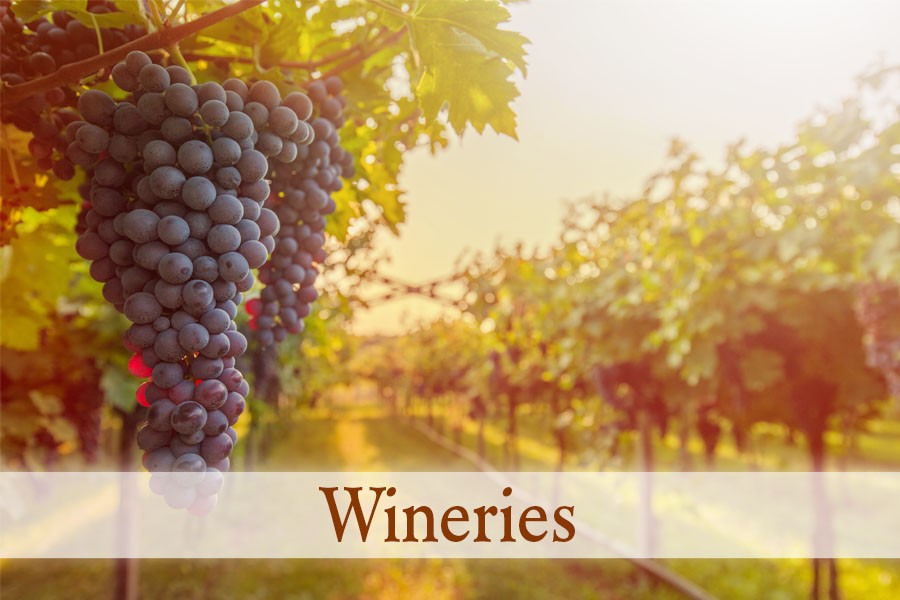 Wineries feature card